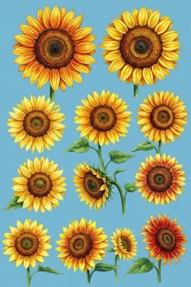 Uma Musume: Pretty Derby